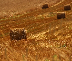 Zboże, Bale