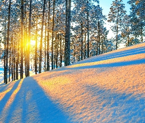 Góra, Zima, Promienie, Słońca, Drzewa