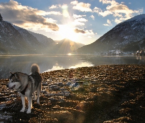 Husky, Jezioro, Chmury, Promienie, Słońca, Góry