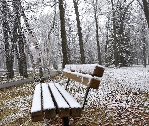 Park, Staw, Drzewa, Alejka, Ławka