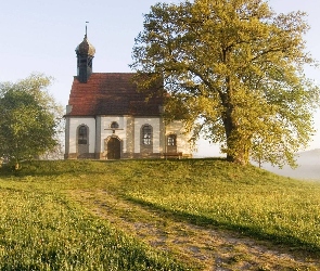 Niemcy, Łąka, Kapliczka, Drzewa