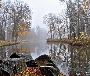 Rzeka, Kaczki, Jesień, Park, Mgła, Kamienie