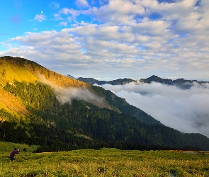 Mężczyzna, Fotograf, Mgła, Góry, Lasy, Polana