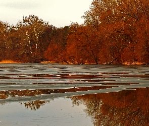 Przedwiośnie, Drzewa, Topniejące, Jezioro