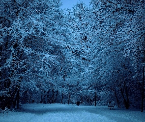 Zima, Światło, Aleja, Park, Ławki, Latarnie