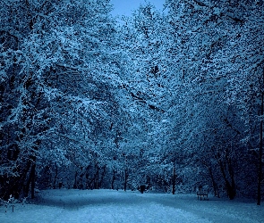 Park, Aleja, Zima, Latarnie, Światło, Ławki