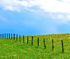 Pole, Płot, Niebo