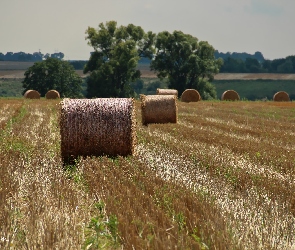 Zboże, Lato, Bale, Pole, Zżęte