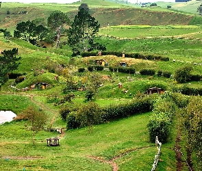 Kraina, Hobbitów, Roślinnność, Łąki, Domy, Wzgórza