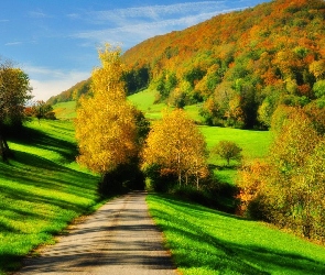 Góry, Las, Drga