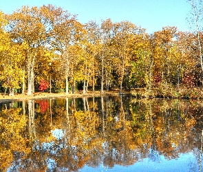 Park, Staw, Jesień