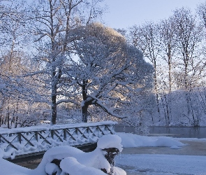 Rzeka, Zima, Park, Mostek