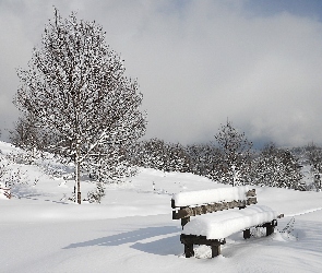 Zima, Drzewa, Ławka