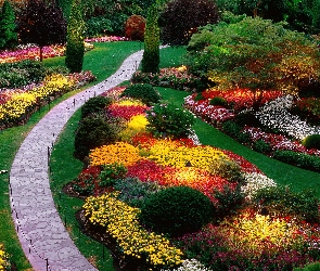 Ogród, Kwiaty, Kolorowe