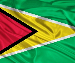 Gujany, Flaga