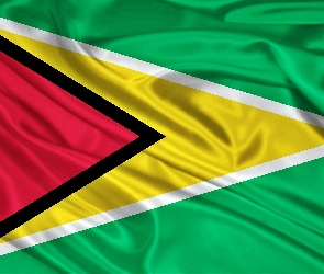 Flaga, Gujany