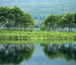 Jezioro, Drzewa, Odbicie