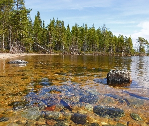 Głazy, Las, Jezioro