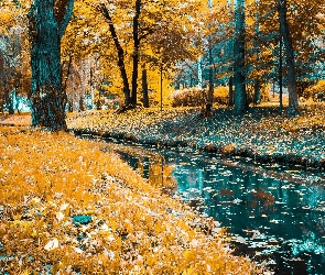 Rzeka, Jesień, Drzewa, Liście, Park