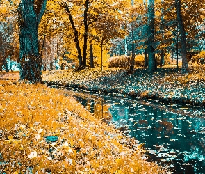 Park, Jesień, Liście, Drzewa, Rzeka