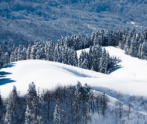 Góry, Lasy, Zima