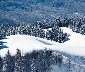 Zima, Lasy, Góry