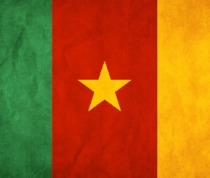 Kamerun, Flaga