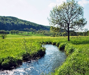 Strumyk, Łąki, Wzgórza, Lasy