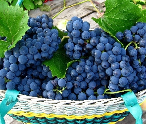 Ławka, Jabłka, Kosz, Winogron