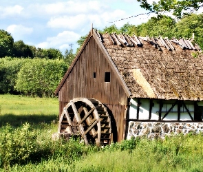 Las, Ruina, Młyn, Wodny, Łąka