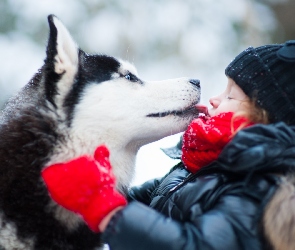 Husky, Zima, Park, Przyjazń, Dziewczynka