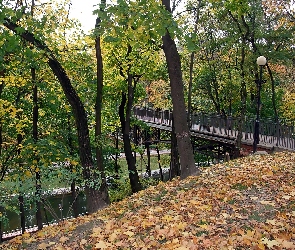 Rzeczka, Liście, Opadłe, Most, Park