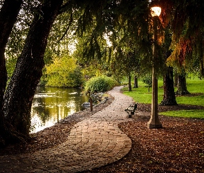 Alejka, Ławki, Latarnia, Staw, Park