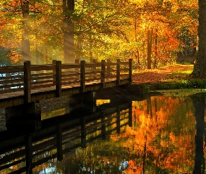 Rzeka, Jesień, Światło, Most, Park