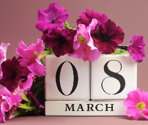 8 Marca, Petunia ogrodowa, Kobiet, Kwiaty, Dzień