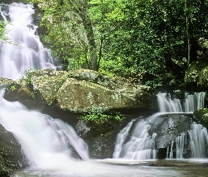 Tennessee, Park, Wodospad, Las, Skały, Narodowy