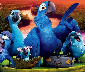 Rio 2, Ptaki