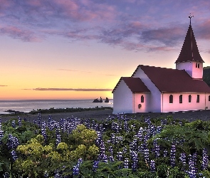 Gmina Myrdalshreppur, Miejscowość Vik i Myrdal, Drzewa, Islandia, Morze, Kościół, Łubin