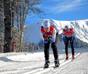 Sochi 2014, Narty, Zawodnicy