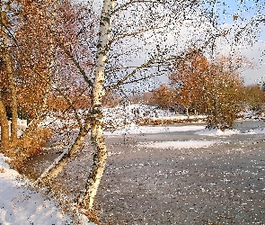 Zima, Jezioro, Słońca, Park, Zachód