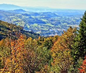 Góry, Ustronia, Śląski, Las, Panorama, Beskid, W Dolinie