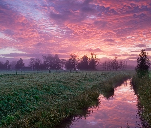 Łąka, Chmury, Zachód, Słońca