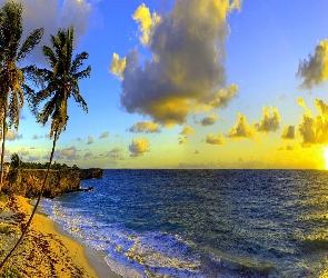 Chmury, Barbados, Zachód Słońca, Palmy, Morze