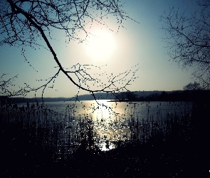 Sitowie, Słońce, Drzewa, Jezioro