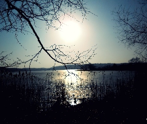 Słońce, Drzewa, Sitowie, Jezioro
