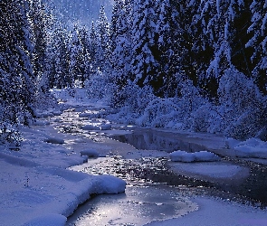 Zima, Noc, Cień, Rzeka, Światło, Las