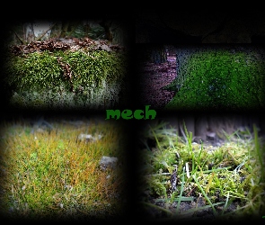 Napis, Grafika, Mech