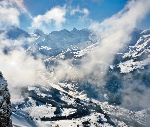Lauterbrunnen, Dolina, Chmury, Zima, Góry, Las