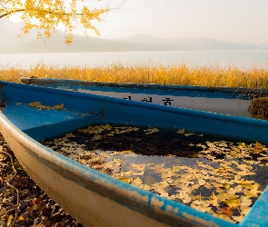 Jesień, Liście, Jezioro, Łodzie