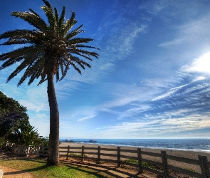 Plaża, Wybrzeże, Światło, Palma, Chmury, Przebijające, Molo